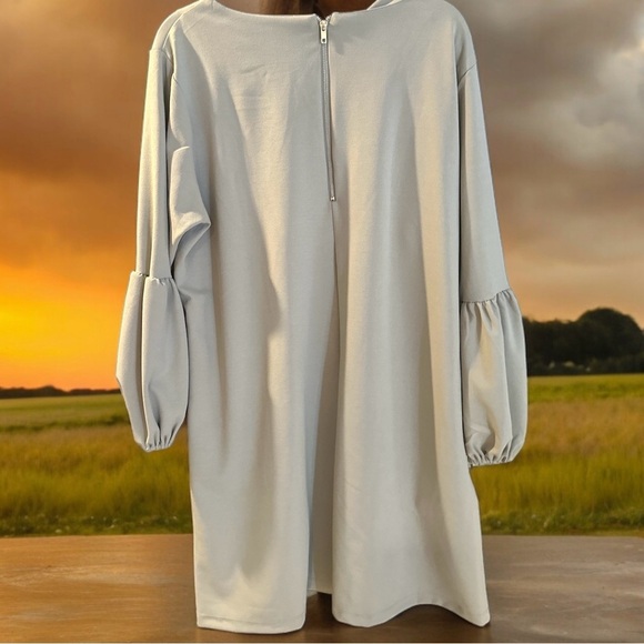 Standards and practices plus size 2X gray dress with pockets excellent - Picture 2 of 2